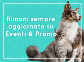 eventi_mc_fido_negozio_per_animali_firenze-270x200