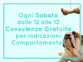 eventi_mc_fido_negozio_per_animali_firenze-270x2001