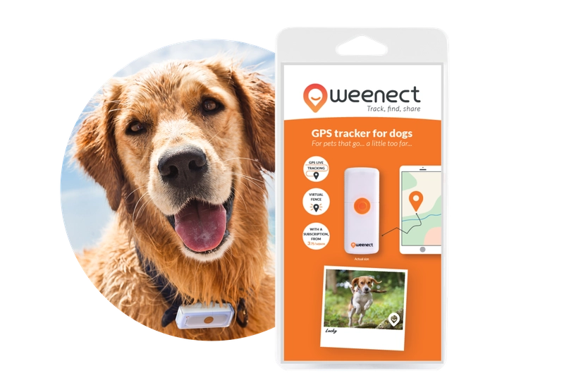 Collare GPS Weenect per Cani vendita online Firenze
